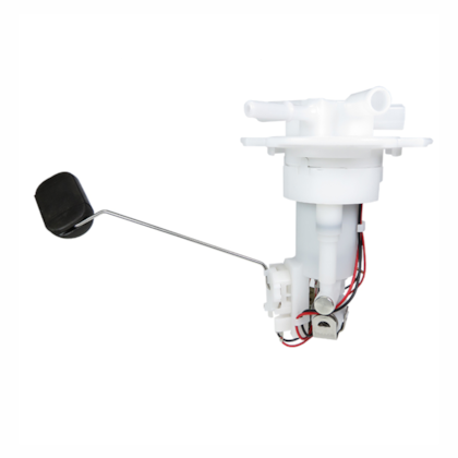 Bomba Completa CG 150 Fan ESI 2010 GAGM14007