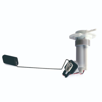 Bomba Completa CG 150 Titan KS 2009/2010 GAGM14004