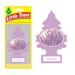 CHEIRINHO LAVENDER - LITTLE TREES