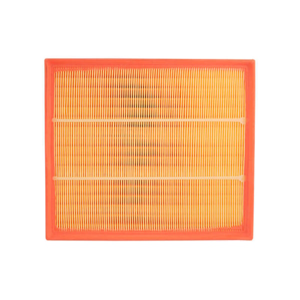 Filtro Ar Sprinter 311 313 411 2.2 2002/... Wega FAP6003/1 - fd5d3f36-e702-4d64-806d-a8214d9c9942
