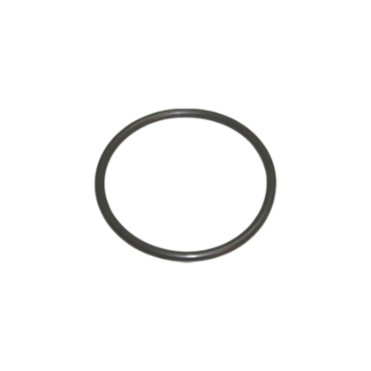 Guarnicao Flange Blazer/S.10 AVG0008