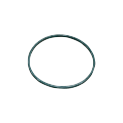 Guarnicao Flange Clio/Kangoo AVG0011