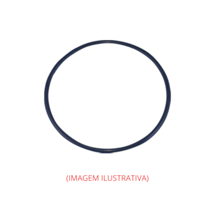 Guarnicao Flange Tucson AVG0037