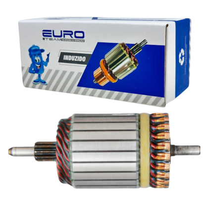 Induzido Partida Ducato Siena Clio BMW Moto R1200 123160