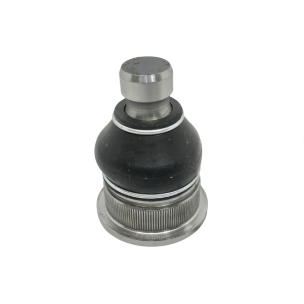 Pivo Inferior Scenic 1999/2012 PFCPVI2184 - 75044f6a-0984-418b-94a3-cfa148c3878f