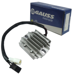 Regulador Voltagem Gs500 2001/2008 12v GAGM10012