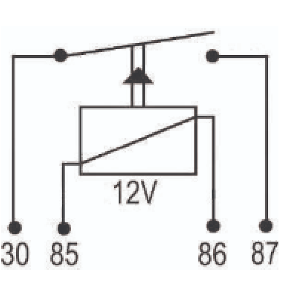 Rele Auxiliar 4T DNI8113 - 768a80cf-6f6f-494c-898e-c39810a52c32