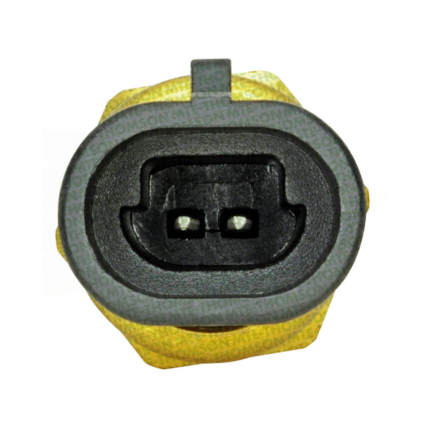 Sensor temperatura harley davidson heritage V2 1585 Gas 2002 MTE-3292 - 10005675-a4e5-4f48-a75b-f1c30b9d12b4