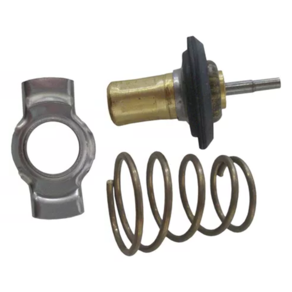 Valvula Termostatica Mte-262.87vt - 2949bdec-860d-45b6-a0a5-7f6fe729657e