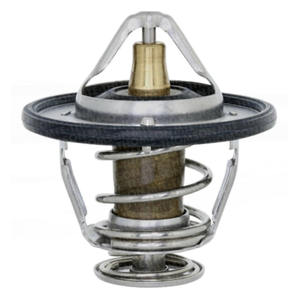 Valvula Termostatica Santa Fe 2.7 2001/2011 Mte-443.82vt - 5e138ca4-a1dc-45e9-a85b-a36ac5531bc5
